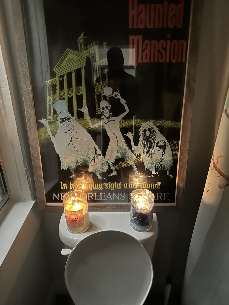 Mystro13's tweet image. My Disneyland Haunted Mansion Themed Bathroom 🚽 in my new Apartment #HauntedMansion #Disneyland