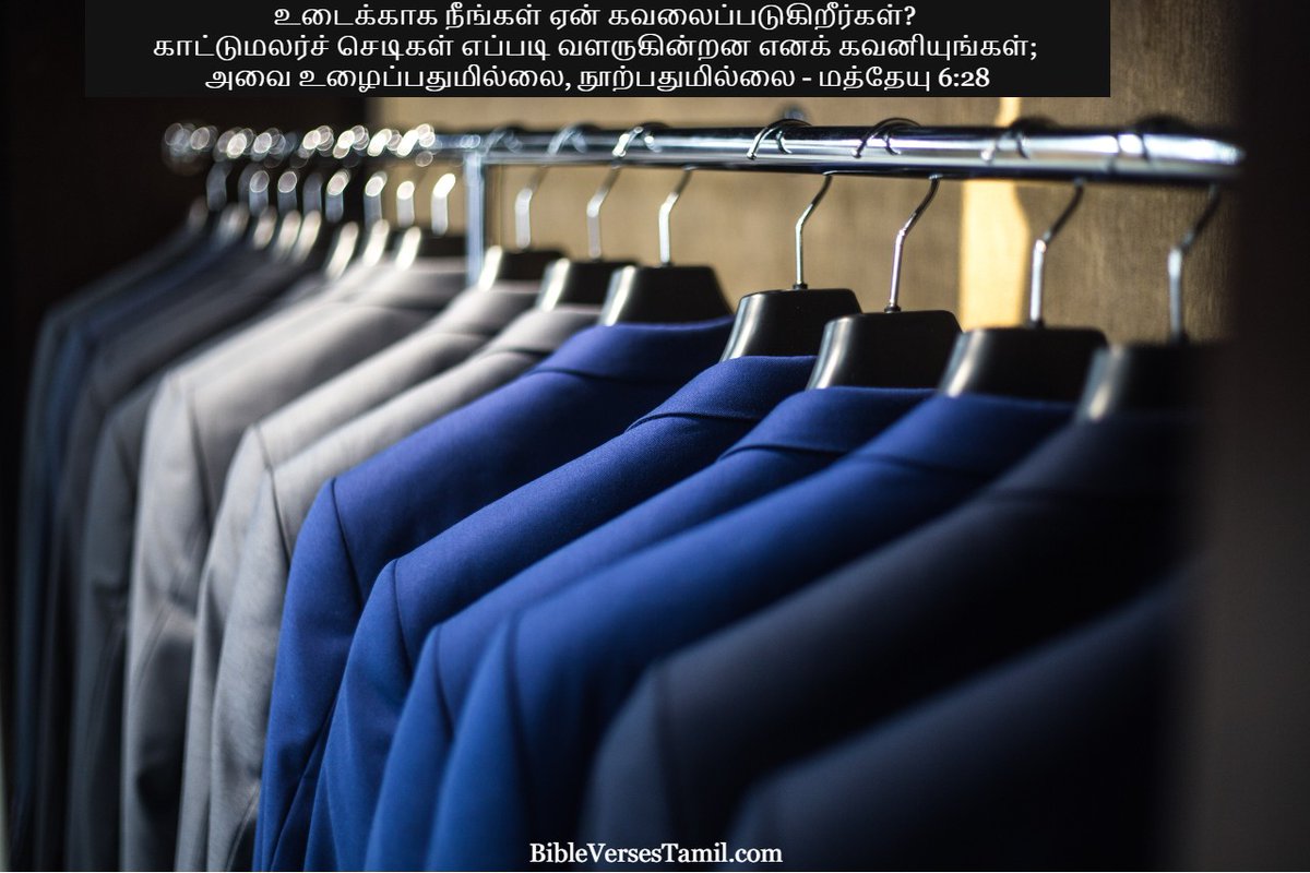 VerseofthedayB's tweet photo. https://t.co/b8uVJC3k0M - Matthew 6:28 in Catholic Tamil - https://t.co/EfCRZU7abi https://t.co/cVED1kvCQM 
#bible #tamil #bibleverses #bibleverse #verses #biblequotes #biblejournaling #bibleverseoftheday #holybible #biblequote #tamilbibleverse #bibleversedaily #bibleversesdaily https://t.co/c9v9YsMq5A