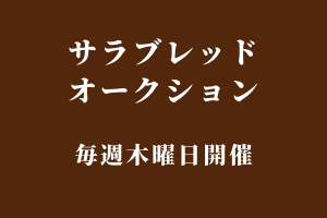 マイネルユキツバキさんがいる😳 