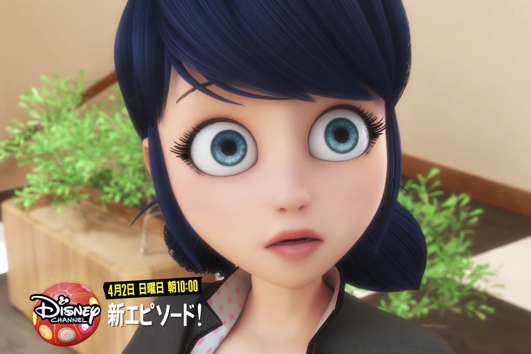 ミラカルリーフレット