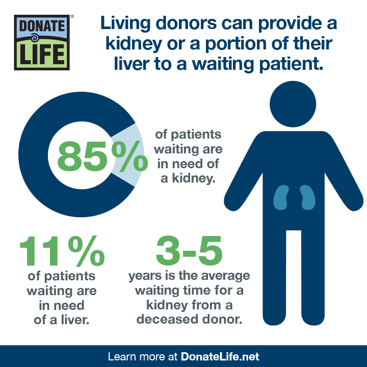 Donate Life Georgia tweet media