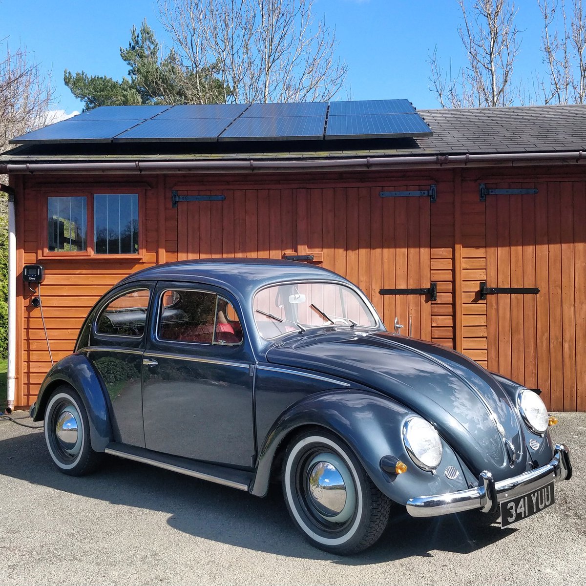 Filling up on sunshine 🌞😎👍 #voltswagen #vwbeetle #volkswagen #beetle #fusca #vwfusca #electricbeetle