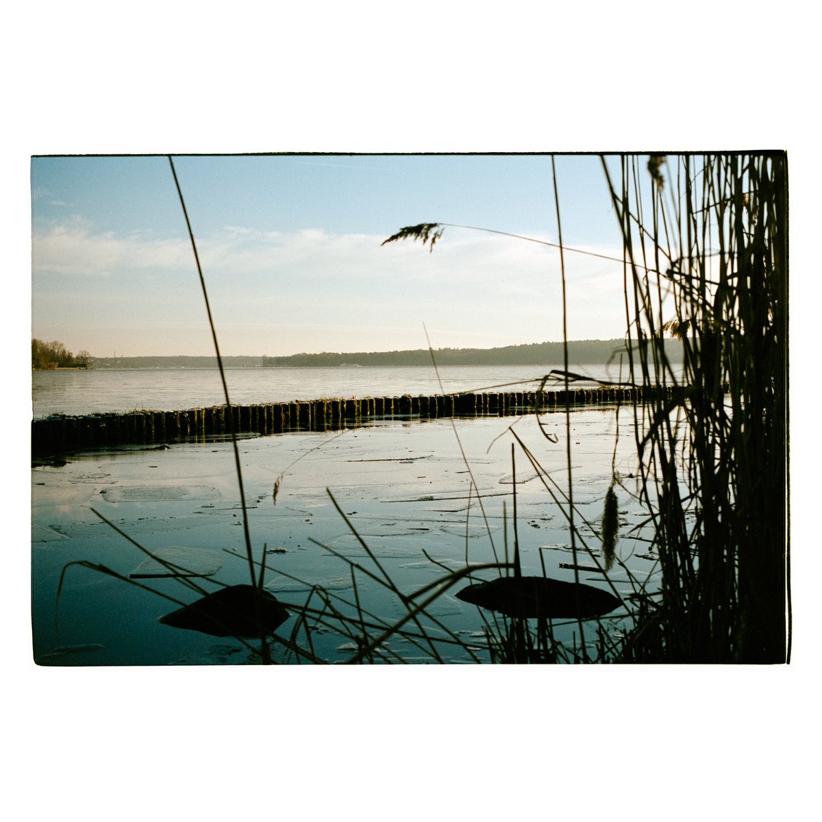 Serenity 2 - 🎞Kodak Portra 400 #Portra400 #kodakprofessional #believeinfilm #NaturePhotography
