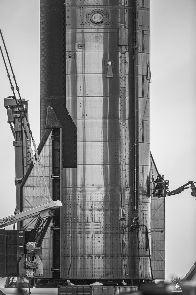 Starbase Surfer tweet media