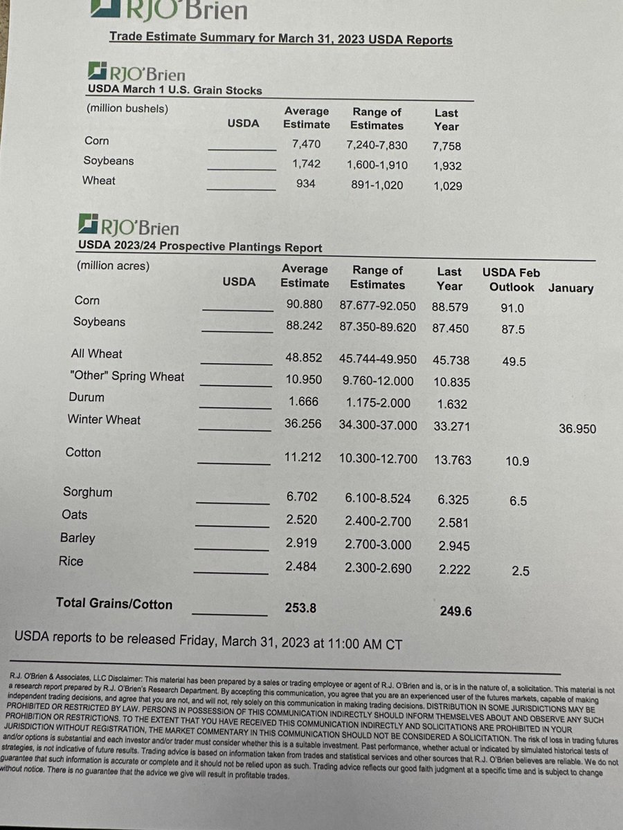 Champagne Summer tweet media