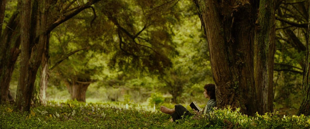 show me some of your favourite shots from lord of the rings