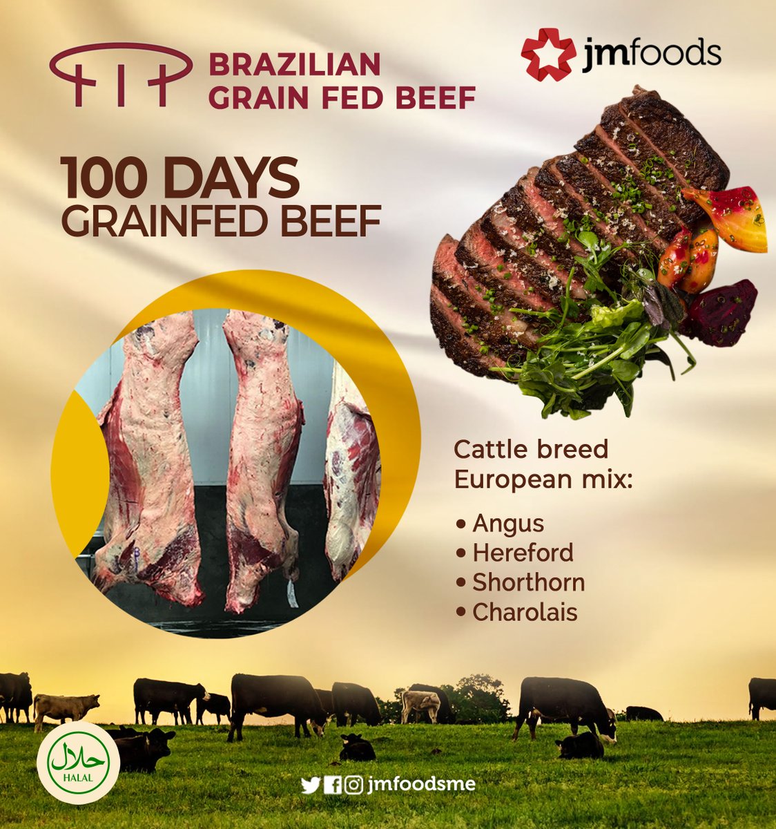 100 Days Grain Finished Brazilian Beef

With high grade beef intra-muscular marbling, tenderness, rosy red meat colour and creamy white fat colour. 

#grainfedbeef #brazilianbeef #brazilianpremiumbeef #halabeef #ramadan #foodservice #retail #horeca #fooddistributor #foodsupplier