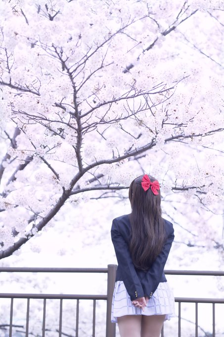 Twitterのコスプレ画像19