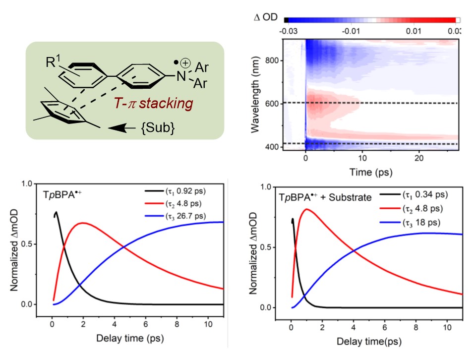 BarhamLab's tweet photo. Presenting smoking gun TAS evidence for a radical ion #photocatalyst #preassembly🔗 & 'anti-Kasha' behaviour! J. Hauer's group at TUM put numbers🎯 on the lifetime and quenching of our triarylamine rad. cat. PCs👇
https://t.co/c2Ktm1dnn2
Congrats to the team!🎉 #photochemistry 🧵 https://t.co/5qCIzF9E24