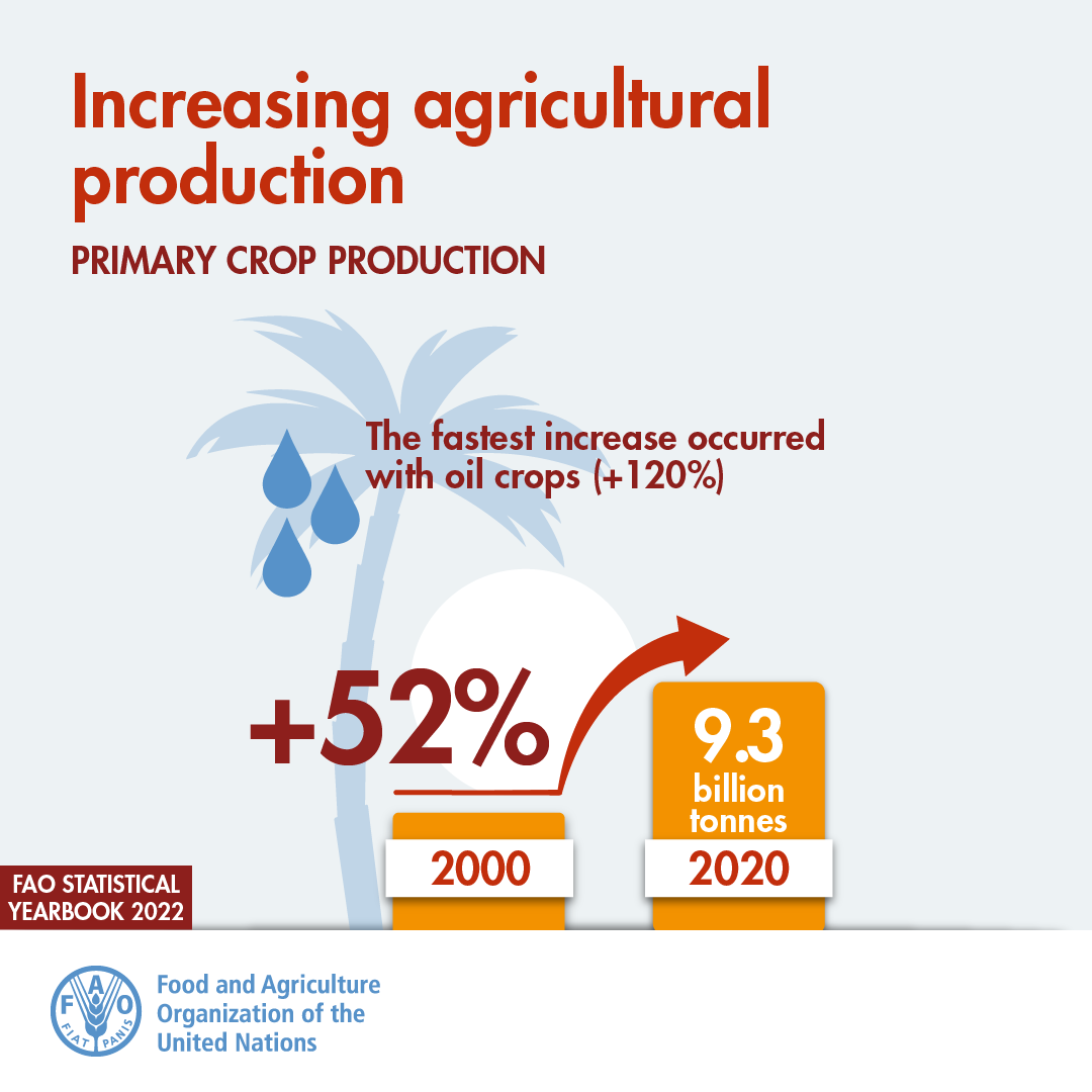 FAOstatistics's tweet photo. Have you read the @FAO World Food and Agriculture – Statistical Yearbook 2022❓

Learn about the rapid 📈 in primary crop production over the past 2 decades ... &amp; much more👇

📕https://t.co/eV1z3IMexB https://t.co/gucm6RGHkg