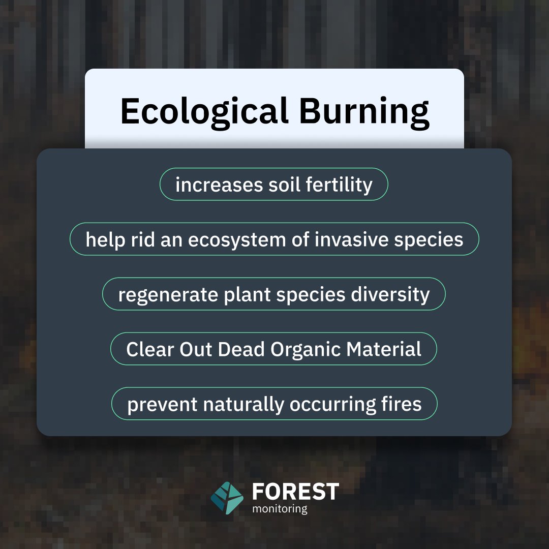 EOSDA_Forest's tweet photo. 🌲 EOSDA Forest Monitoring minimizes the disadvantages of #ControlledBurning 🔥. From 14-day forecasts, to #WeatherData archives and temperature anomalies monitoring, our platform will become your most useful tool by providing you with critical data: https://t.co/0qZpzuRIDa https://t.co/4QeYmCCH9F