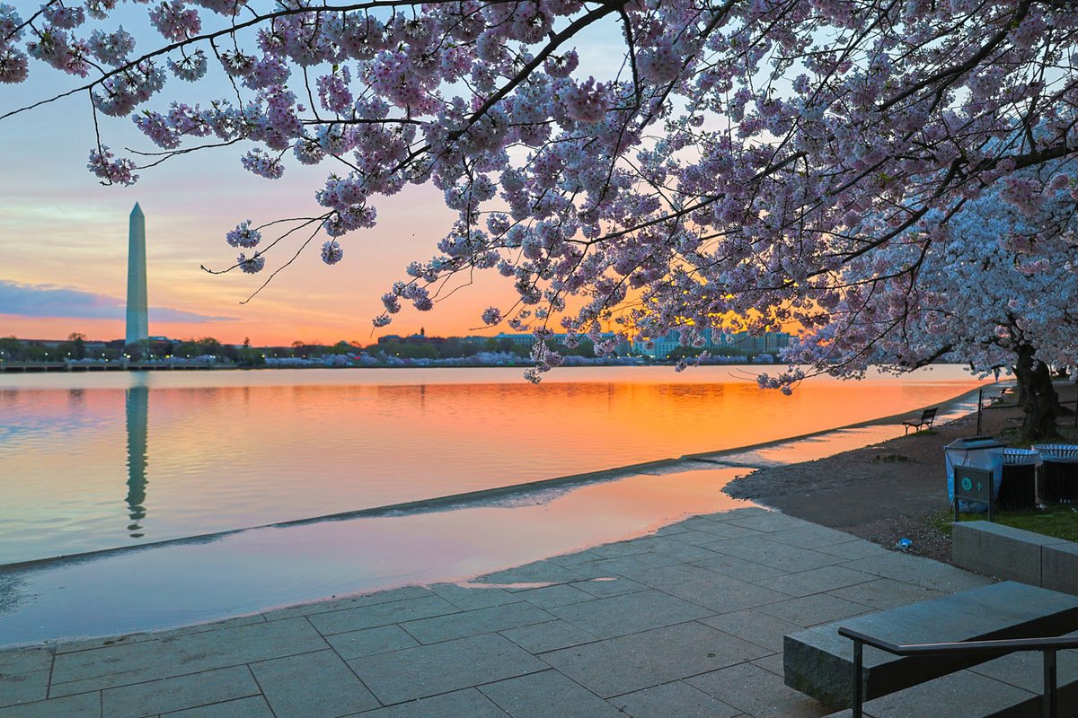 What an incredible sunrise this morning! #cherryblossoms #reflection #cherryblossomfestival #cherryblossomdc #tidalbasin #washingtondc #findyourpark #igdc @capitalweather