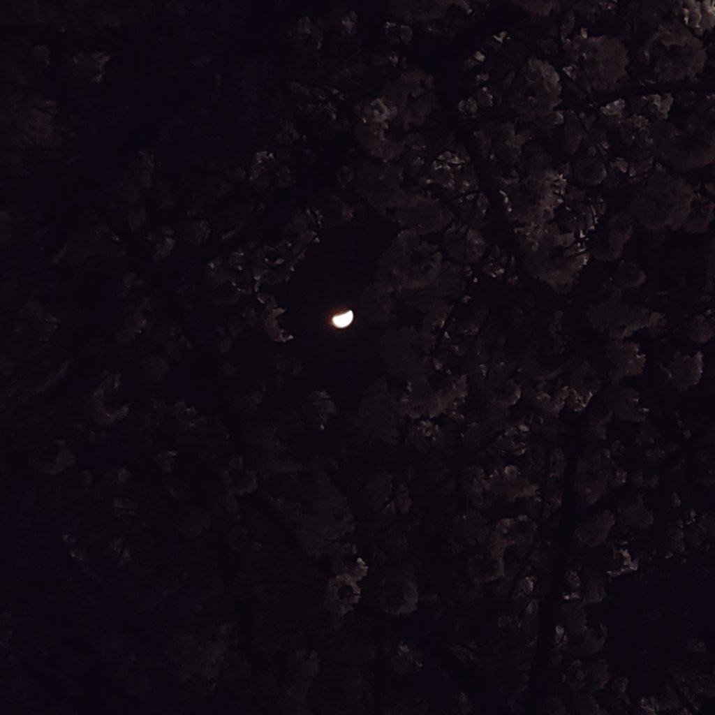 계정이동 완료) 려온 tweet media