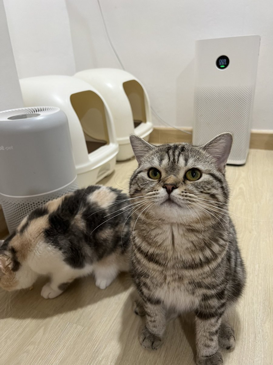 กี้หิวแล้วค้าบบบ