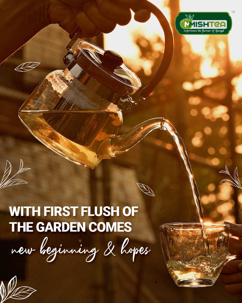 mmishtea's tweet photo. New flush of garden always brings new hopes and new leaves and new motivations!
Explore our Green Tea selection and Shop with us TODAY.
#mmishtea #greentea #flavoredtea #healthytea #refreshingtea #healthylife #tealove #healthylifestyle #greentea #firstflush #newbeginnings https://t.co/K2aVe9CCv1