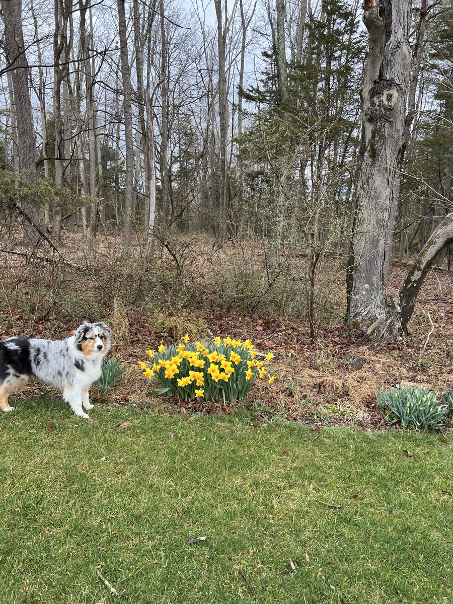 Spring is springing at its own pace without a worry or hurry in the world. We would benefit by following nature’s path.