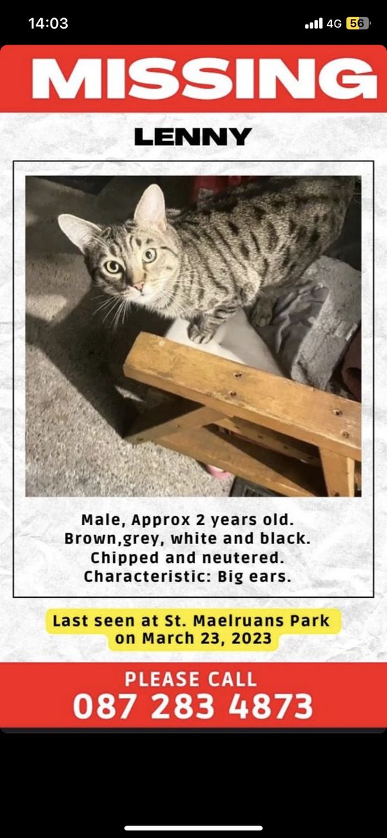 RobertxStacked (@chrisxtoday) on Twitter photo 