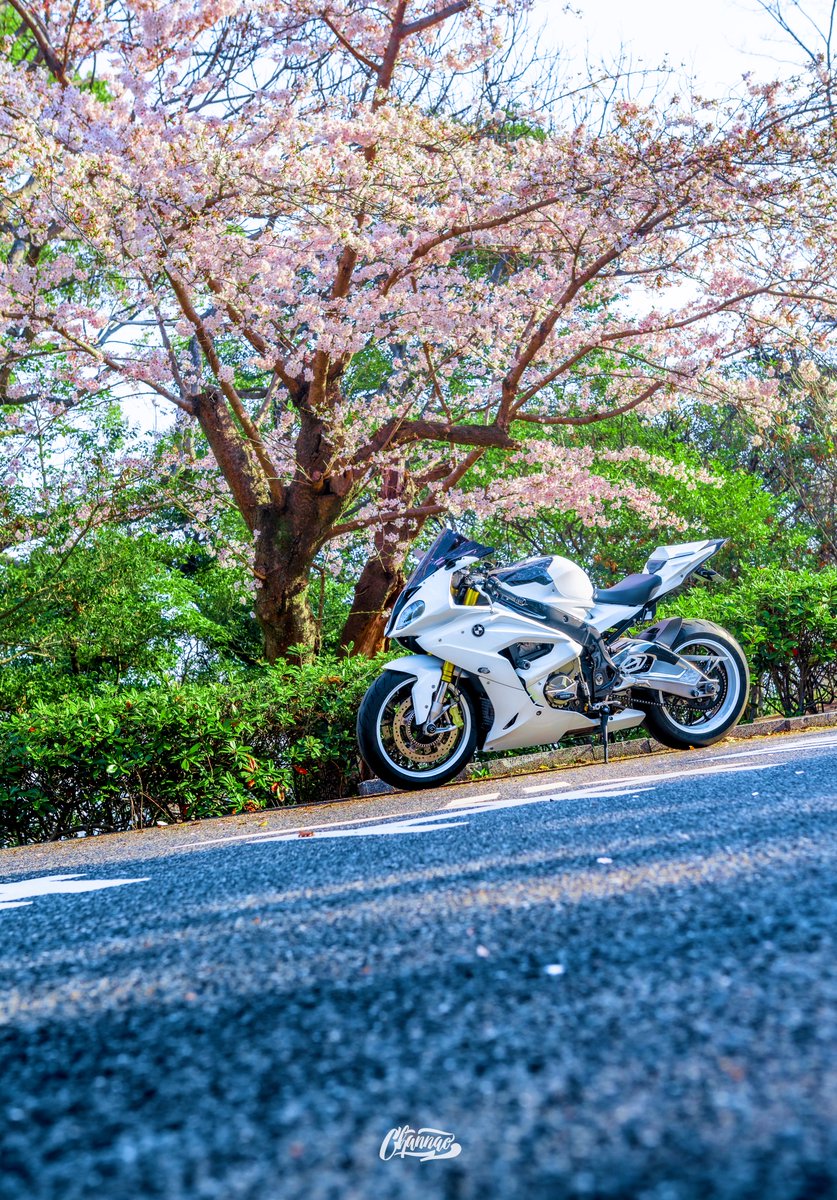# 桜とバイク
# バイク好きな人と繋がりたい
# バイク女子