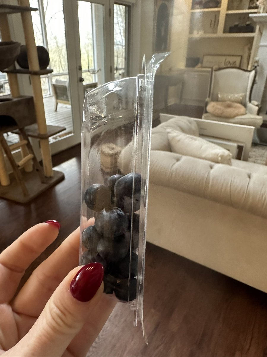 HKralj's tweet photo. Times must be tough over there @Starbucks $4.80 for my blueberry oatmeal today… lol 🤦🏻‍♀️ https://t.co/3LaW6JLvOj
