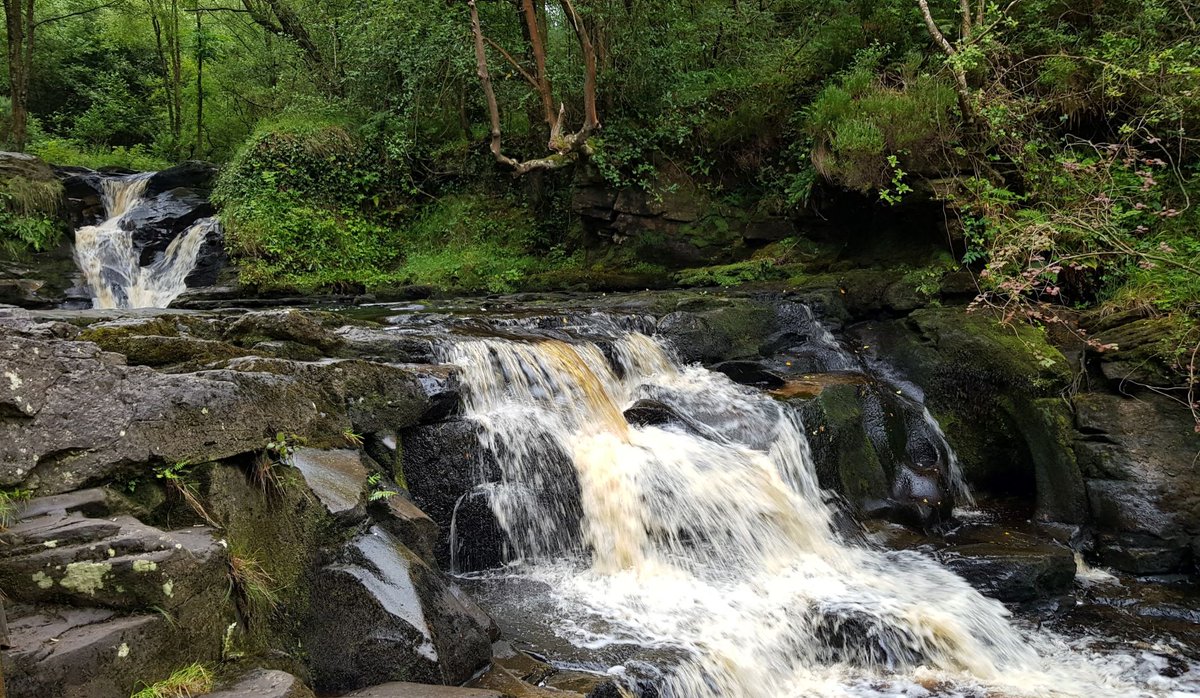 NeuKelte's tweet photo. #Celtic #FairyTaleTuesday: #Fionn Mac Cumhaill was raised in secret in the forests of the #SliabhBloomMountains by his #druidess aunt, Bodhmall, and warrior woman #Liath Luachra. Liath Luachra means ‘Gray of Luachair’, but there is very little known about her, other than that
1/2 https://t.co/czr2adQuap