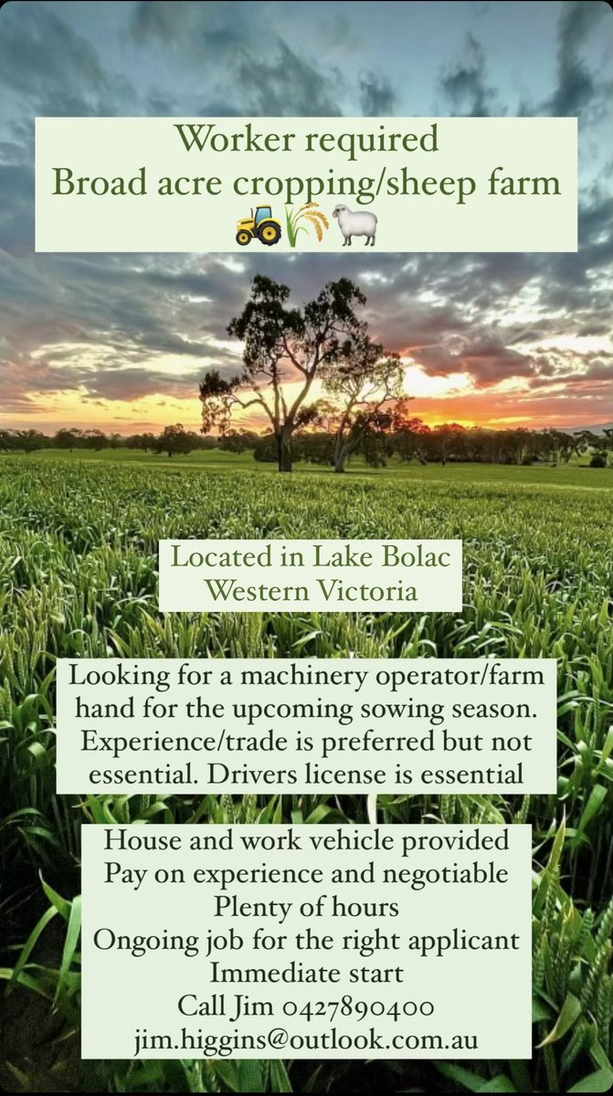 Jim Higgins (@jhigg37) on Twitter photo 