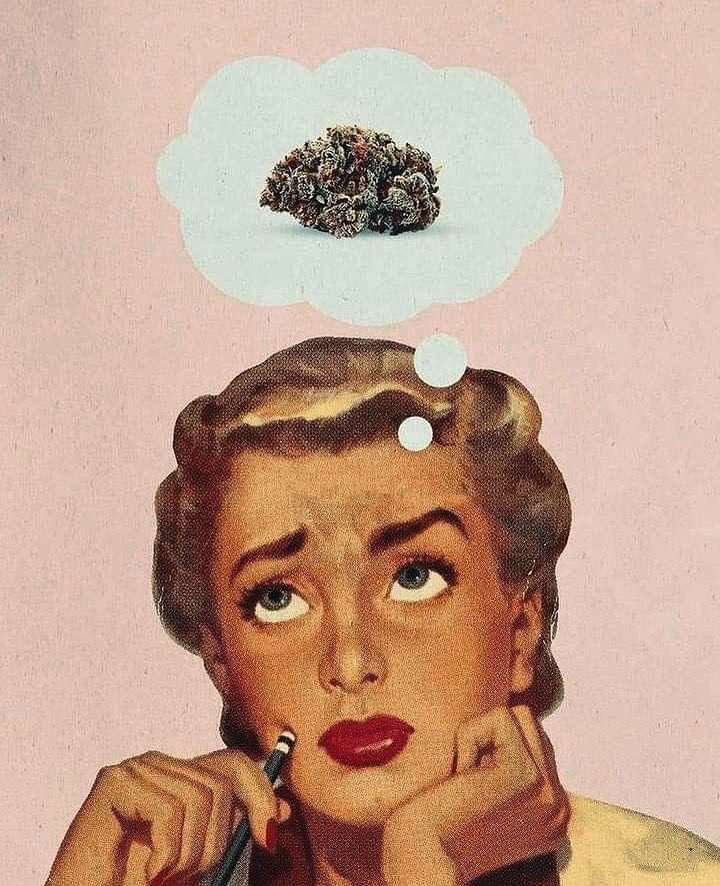 Penny for your thought?! 💭
It’s weed, it’s always weed! 🍃

#2bg #2bakedgirls #podcast #youtube #livestream #staybaked #yatsdekab #bleibenbakt #happytuesday ##winnipeg #manitoba #canada