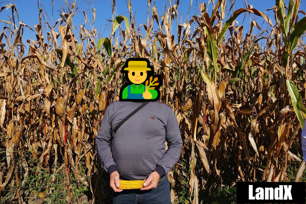 Sigma32452148's tweet photo. I'm sorry father, but this is necessary for such a fast growing proct like LandX
@landxfinance https://t.co/M4BUWAnAKB
