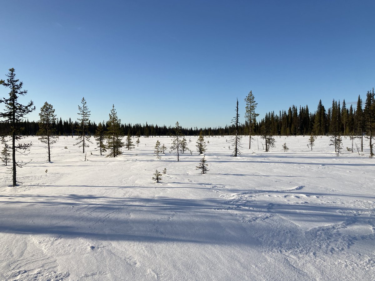Tule meille näihin kairoihin työkaveriksi. Saat käydä katsomassa tämän näkymän lumiaikana joka viikko.

Hakuaika päättyy 30.3. 

jobs.helsinki.fi/job/Salla-Labo…