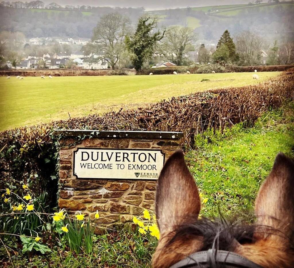 Best view in the house? What a gorgeous shot posted by @visitdulverton and taken by the lovely Ali @stockham_farm instagr.am/p/CqVUh1KsV2W/