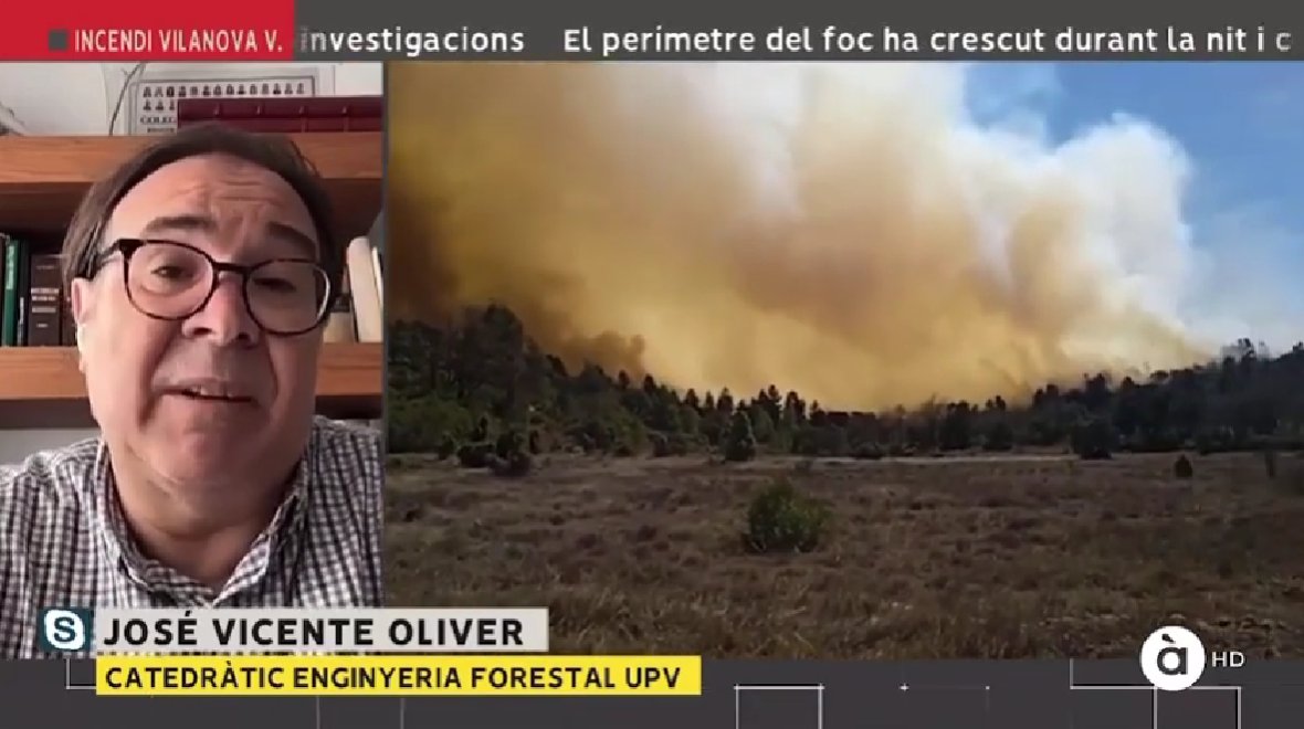 informa_forests's tweet photo. “If we only put efforts into extinguishing #forest fires, it is difficult to act efficiently. We also need prevention through #SustainableForestManagement", said our coordinator J.Oliver to @apunt_media  after large fires broke out near Valencia last week

https://t.co/AS7aQjkuVT https://t.co/Sm5tXansTX