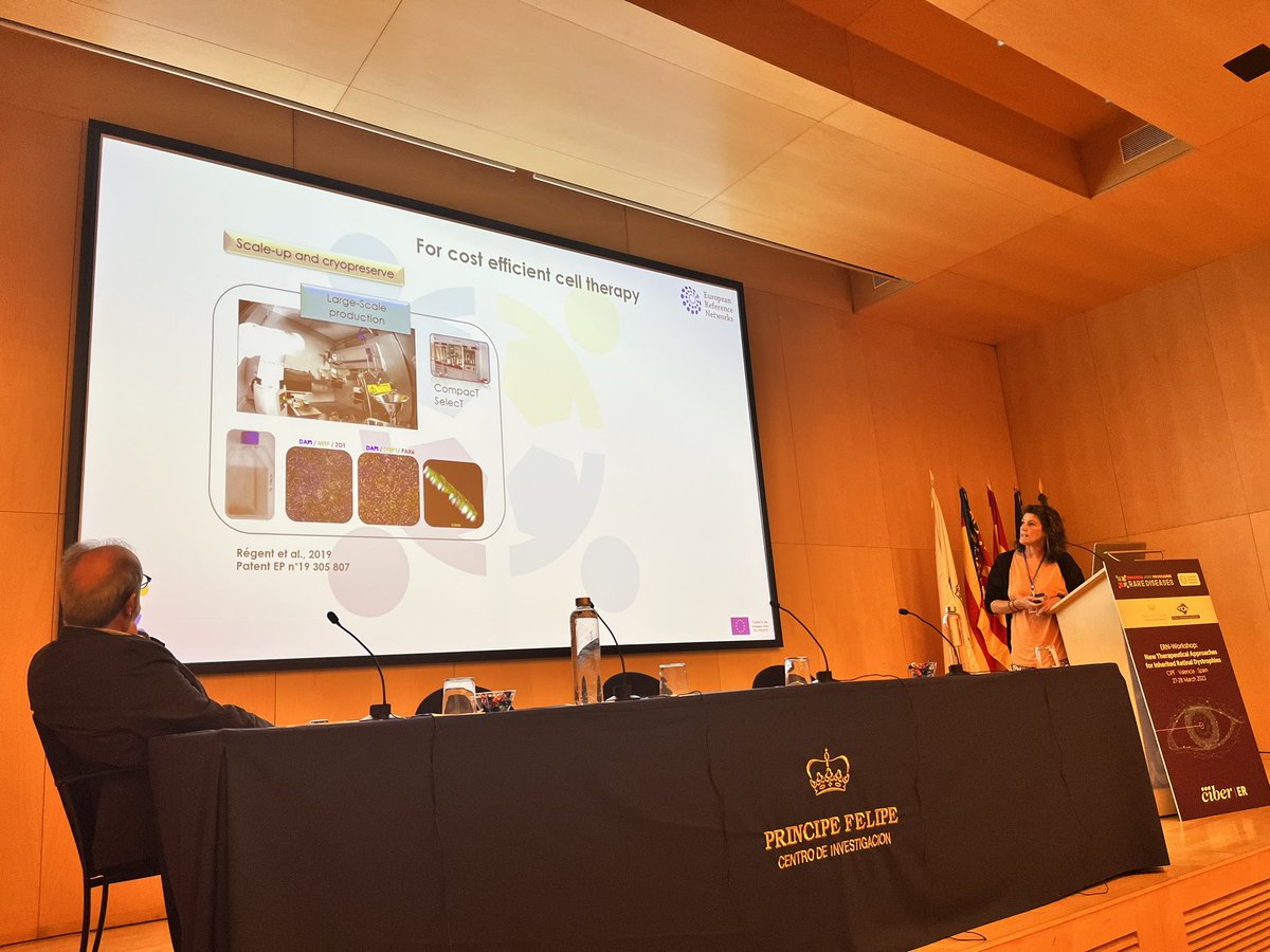 AnaPilarGomez's tweet photo. Talk 14 #ERNworkshop #retinaldystrophies
Dr. Christelle Monville from @Inserm Paris introduces retinal pigment epithelial cell therapy for treatment of inherited retinal dystrophies
@CIPFciencia @CIBERER @ReginaRodrigo_ https://t.co/GHlSaJoxm1