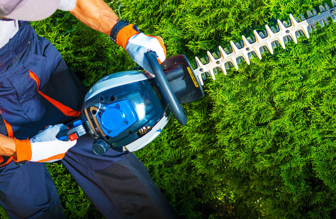 ColoresTree's tweet image. At Colores Tree Services, I offer timeless experience of successful work and provide the utmost in honest customer service. Give me a call today to learn more about my services at (831) 215-3562! #FenceInstallation #TreeCleaning #StumpGrinder bit.ly/3m9Sp2o