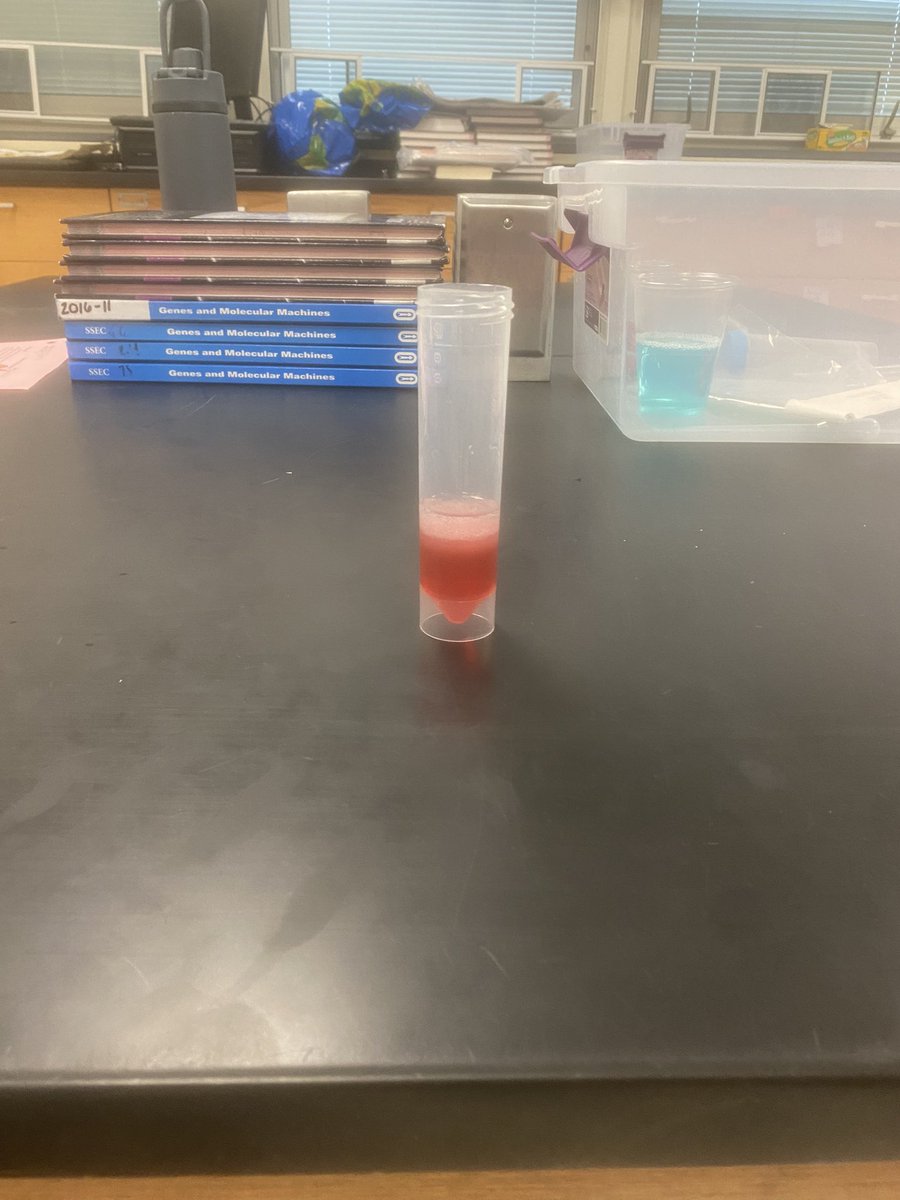 sciwithmrse's tweet photo. 🍓Strawberry 🧬 DNA 🧬 Day🍓 https://t.co/bvemTu2GP9