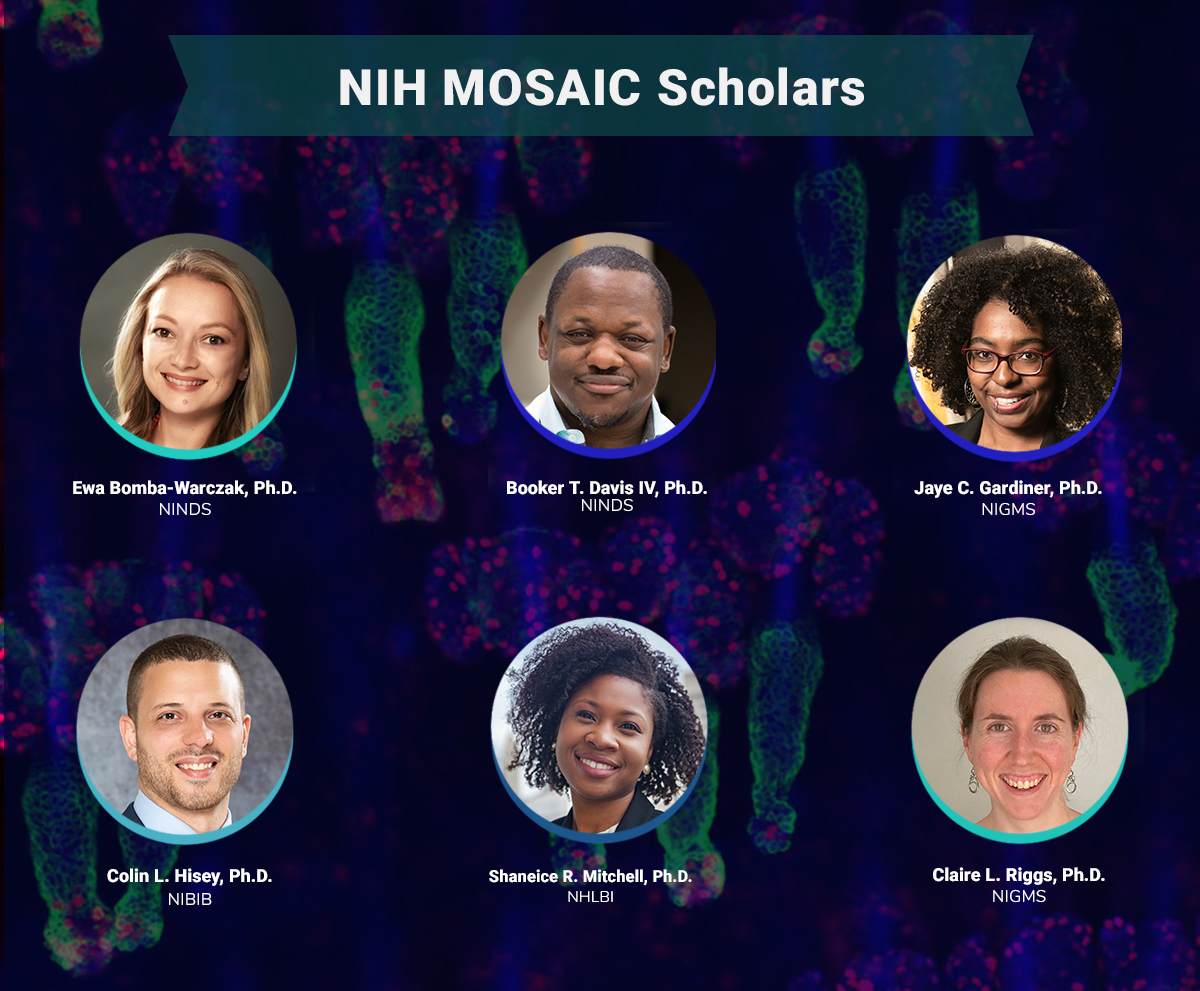 Congratulations to the newest NIH Maximizing Opportunities for Scientific and Academic Independent Careers (MOSAIC) scholars supported by @NIBIBgov, @nih_nhlbi, @NINDSnews, and @NIGMS! #NIHMOSAIC bit.ly/3ngifFR
