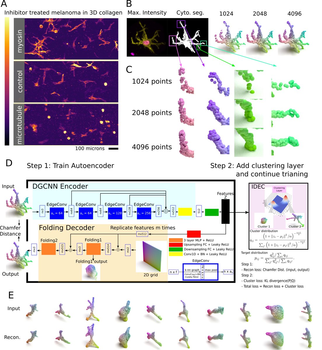 Matt De Vries tweet media