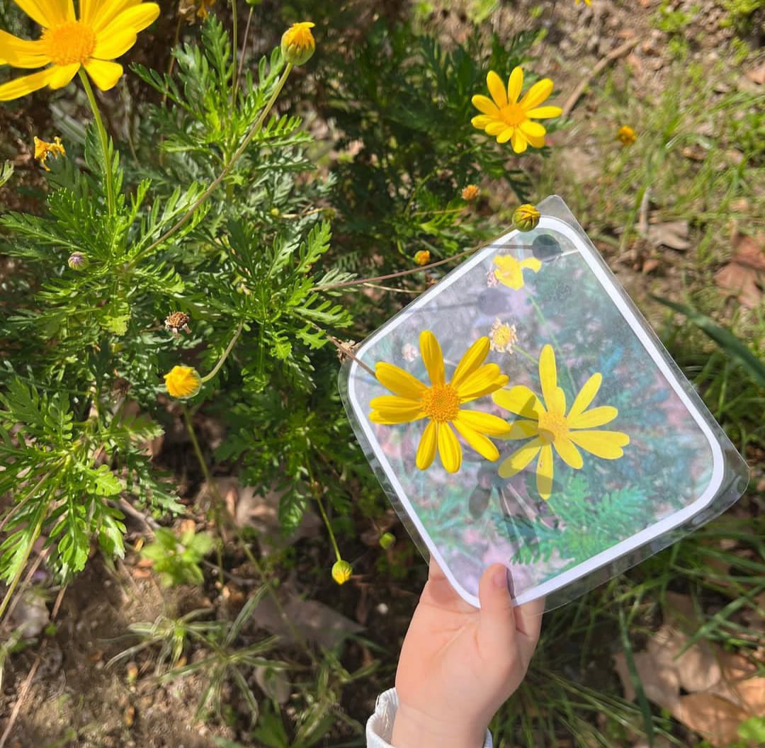 Pont de la cadena tweet media