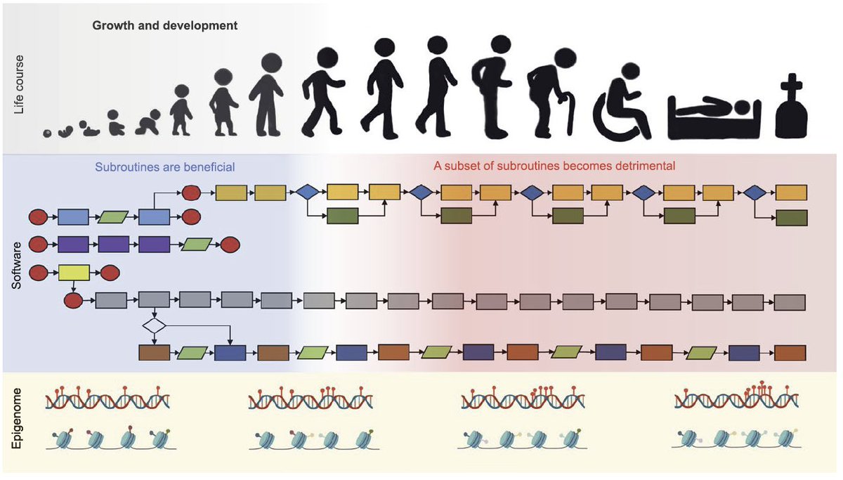 jpsenescence tweet image