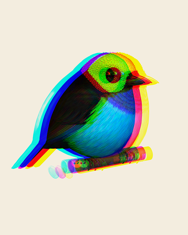 Mike Mitchell (@sirmitchell) on Twitter photo New Birds in da shop! New Birds in da shop!