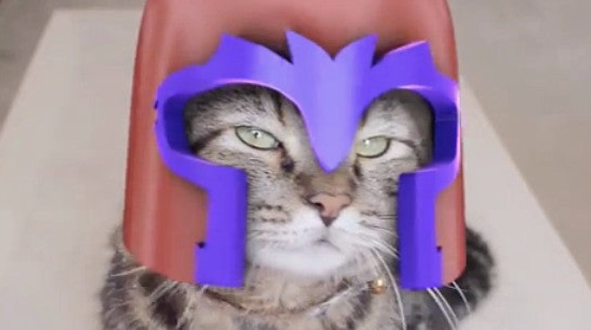 This #TuesdayFun falls on #RespectYourCatDay - which we respect - #xmentas #xmen #cat #magneto