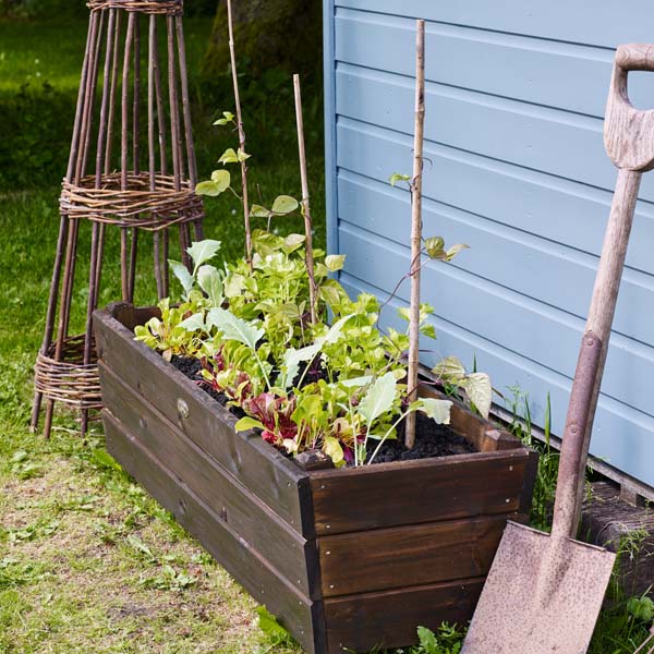 rwatersolutions's tweet image. Transform your timber with our high-quality stains! 🎨🌲
rainwatersolutions.co.uk/search/?q=Prot…
#plants #nature #flowers #plantsofinstagram #garden #plant #plantsmakepeoplehappy #gardening #green