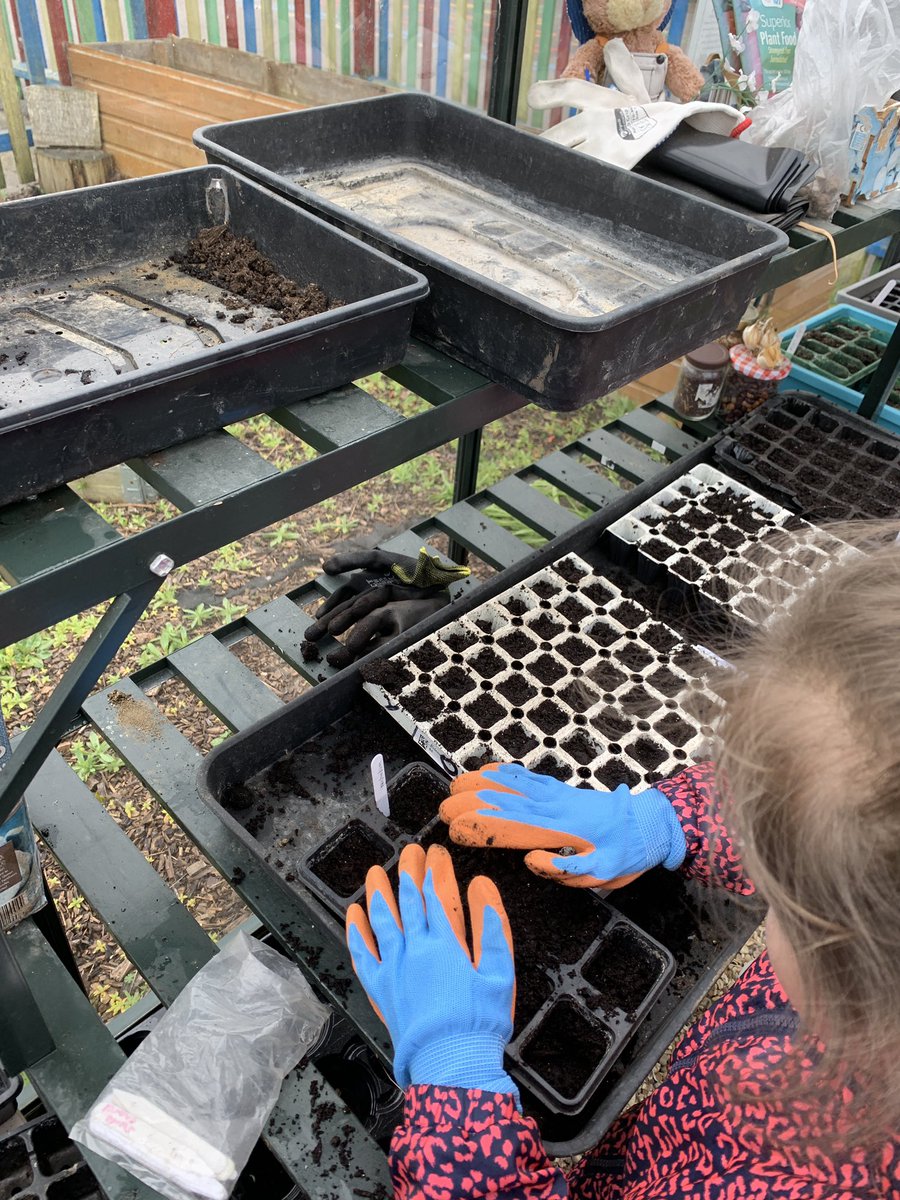 Lots of sowing achieved at gardening club @greatberryps for the #RHSBigSeedSow week. The children are excited to hopefully see their seedlings appearing after half term 🌱🌼