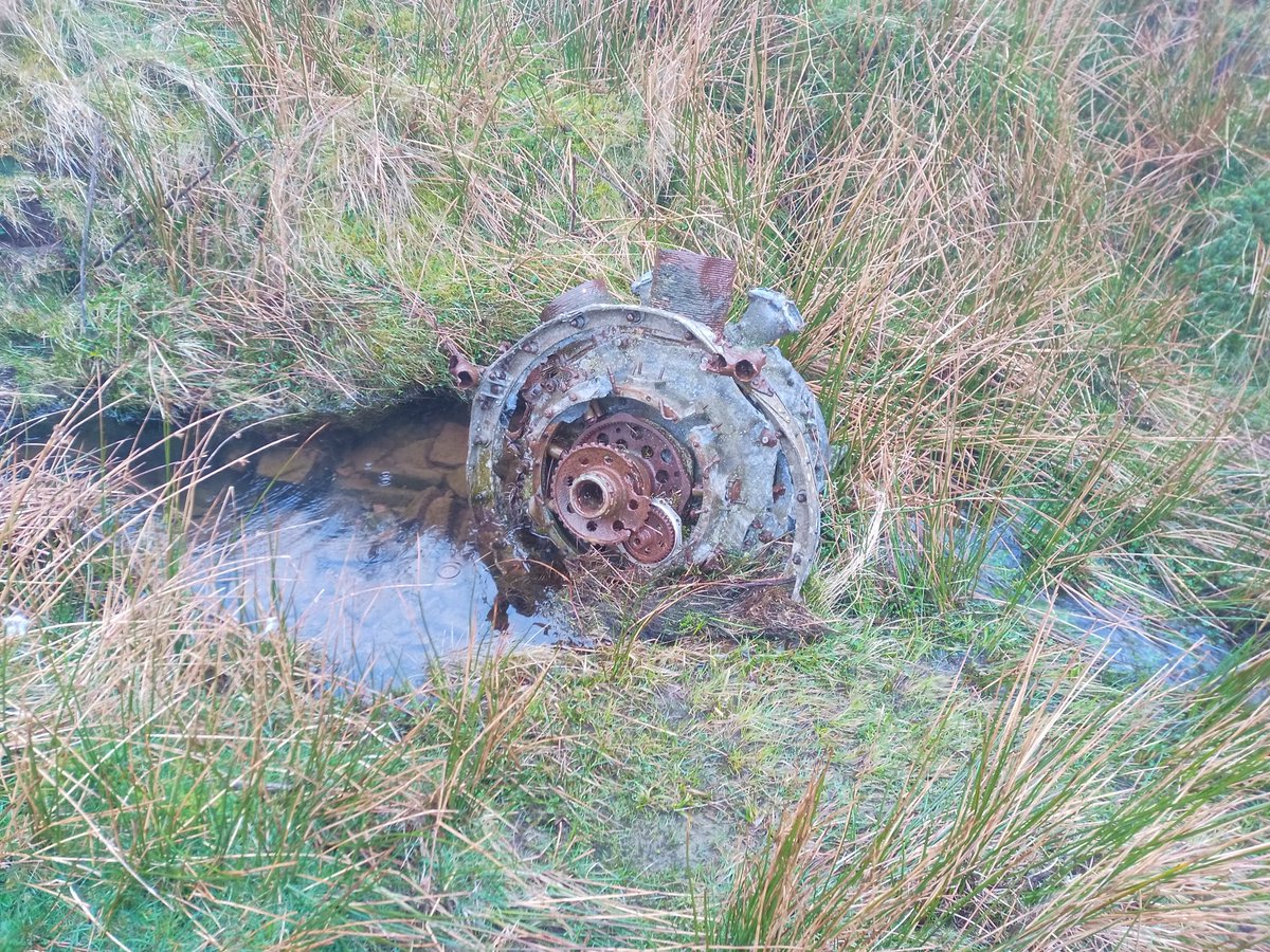 Raven Cymru tweet media