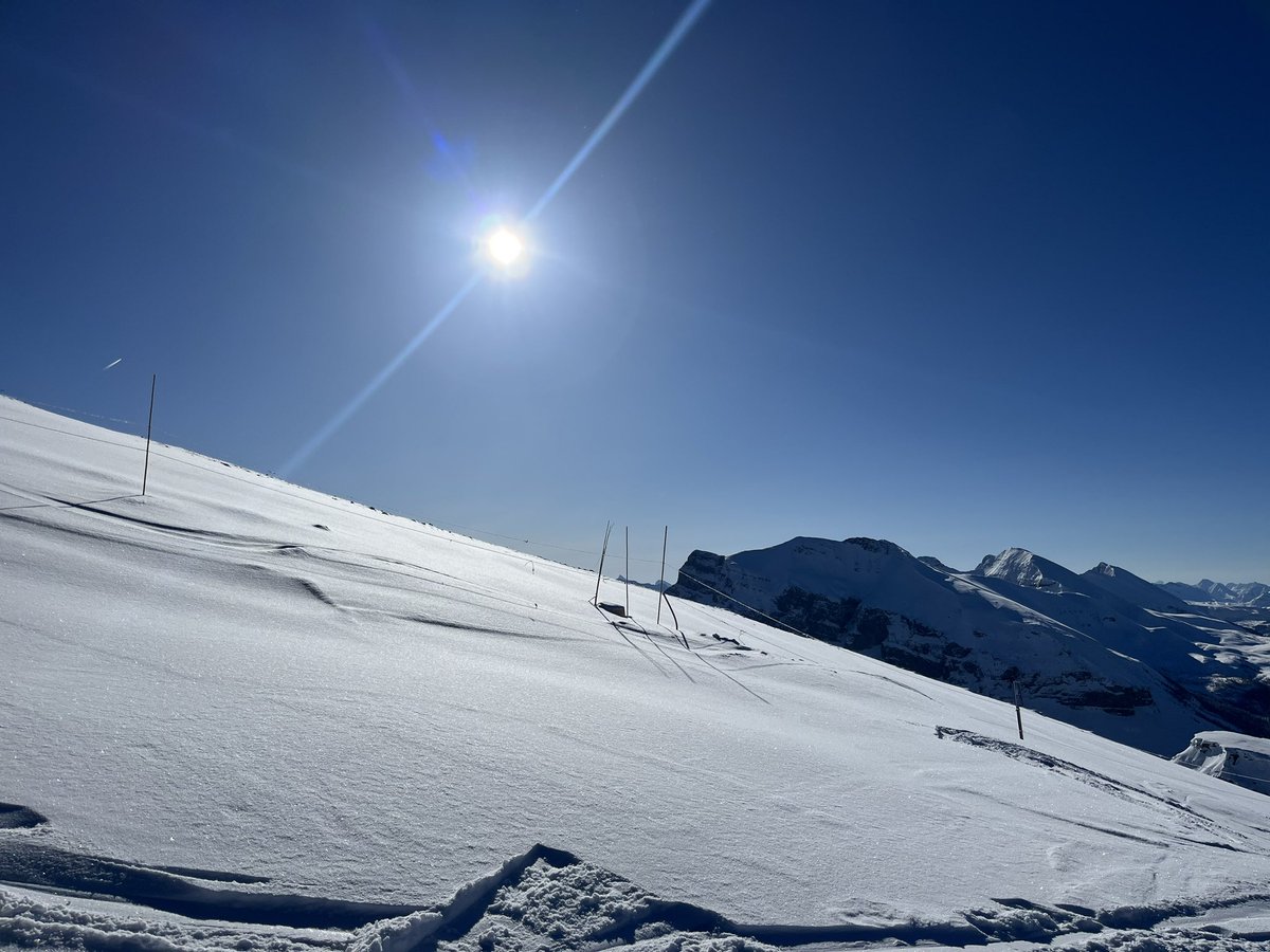 Bluebird  day at Sunshine, loving it!