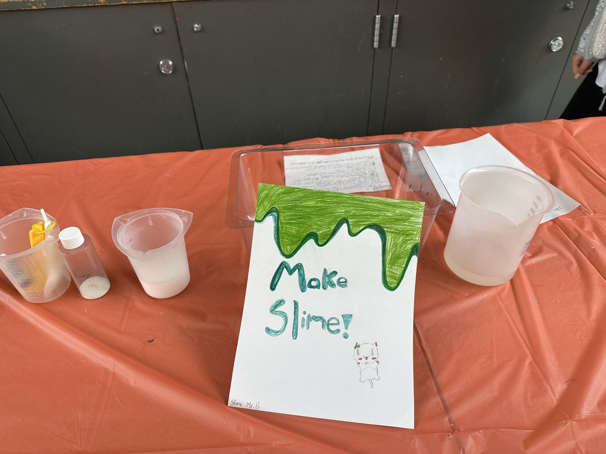 Nesbit 4th and 5th Science Exhibition!!  Sharing their favorite projects from the year :)