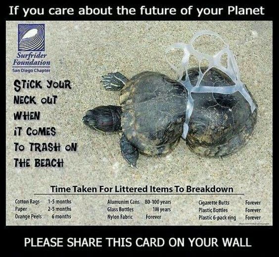 greennomad61's tweet photo. .@UNEP
"Some 11 million tonnes of #plastic waste flow annually into #oceans. This may triple by 2040."
MIND BLOWING.
Then there are #microplastics 🤦
#GreatPacificGarbagePatch
#EarthDay2023
#WorldOceansDay
#EndPlasticPollution
#Vegan bc
#PlasticPlanet
#Recycle EVERYTHING
6. https://t.co/n5nXJx9aLU