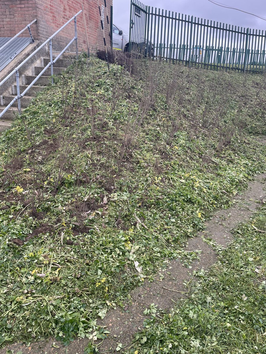 DeTom48's tweet photo. #TeamEA planting new hedge at #Reculver #PumpingStation
We have 500 new plants being planted around our #SouthEastKent #PumpingStations
@EnvAgencySE https://t.co/Ouo78lXCiZ