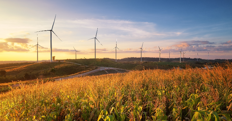 rff's tweet photo. We are LIVE 🔴🎥 with an #RFFlive event "Global Energy Outlook 2023: Sowing the Seeds of an Energy Transition," featuring @cohen198, @AmyAHarder, @jnakanoenergy, @richardgnewell, @OSullivanMeghan, @DanielRaimi, and Yuqi Zhu.

Tune in now!