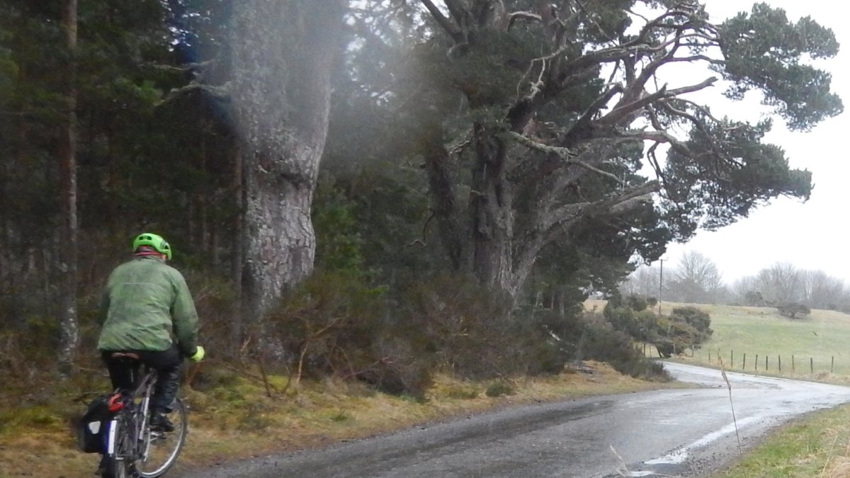 PeteCrane5's tweet photo. More than a tad #driech for today's #CycleFromHome ..... Type 2 'fun'. https://t.co/BU20EdD6ZA
