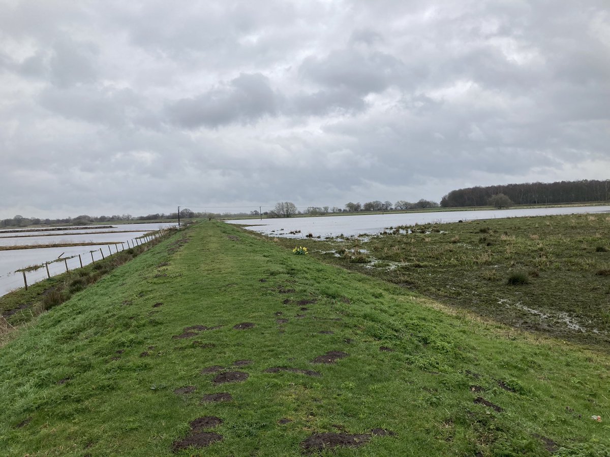 It’s not always glorious weather when out checking boreholes. But you can bet the further you walk the worse the weather will be. Borehole visit to Newington along with support WLB assets to locate mothballed sites and where they are. #hydrometry #teamEA