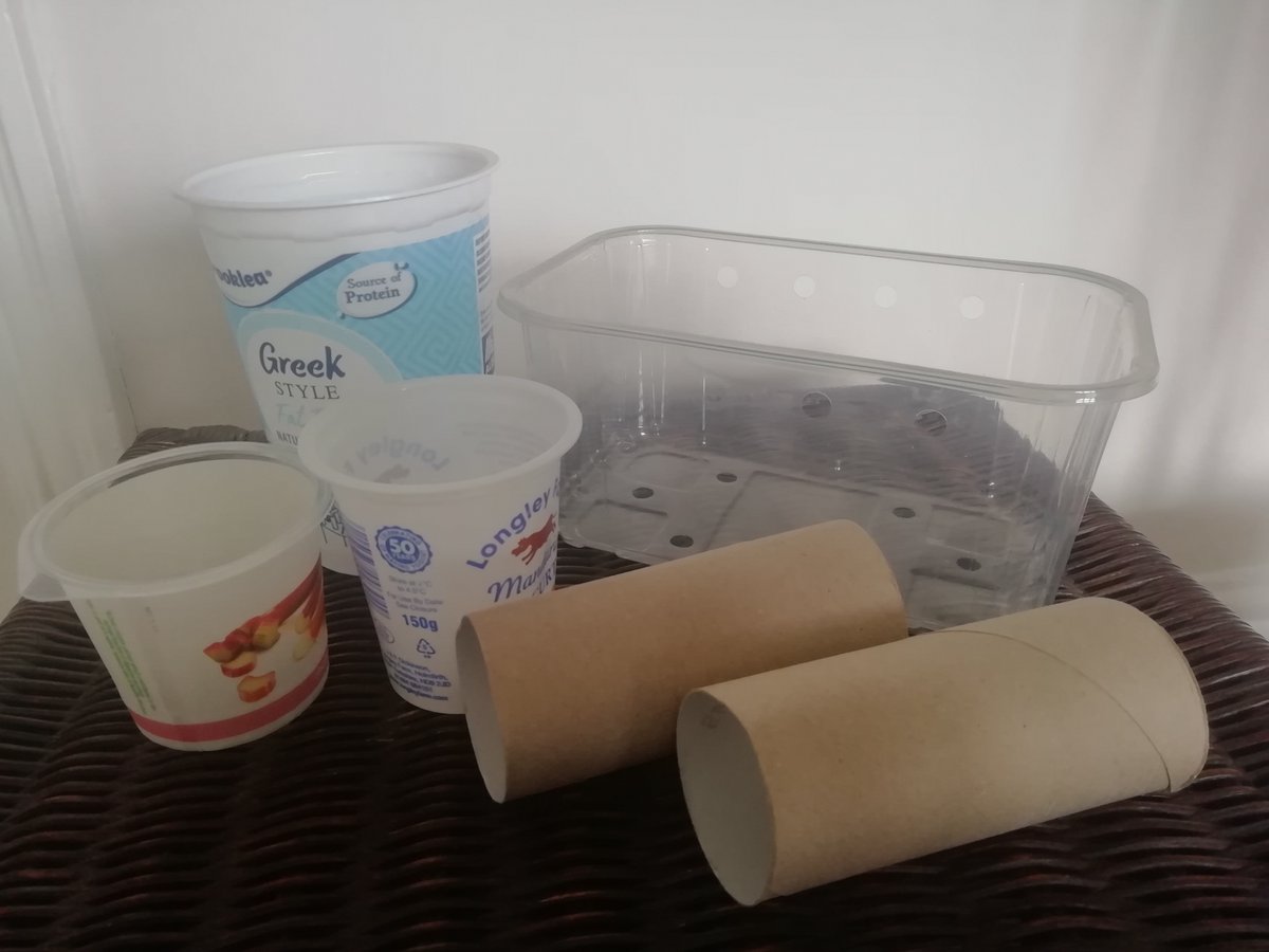Empty loo rolls, yoghurt pots, cups and fruit boxes like these can make great planting DIY seed starting pots!